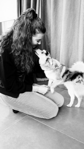 Communication animale