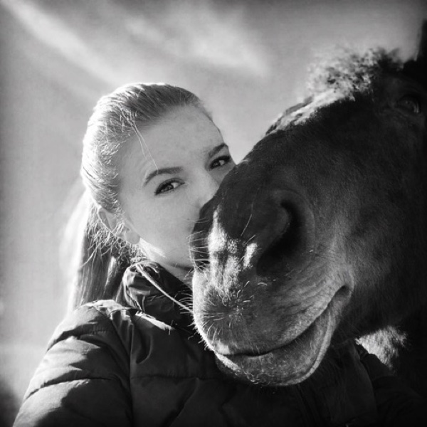 Communication animale